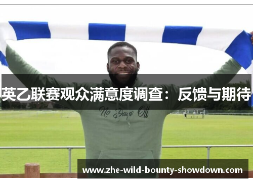 英乙联赛观众满意度调查：反馈与期待