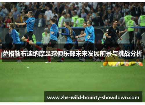 萨格勒布迪纳摩足球俱乐部未来发展前景与挑战分析