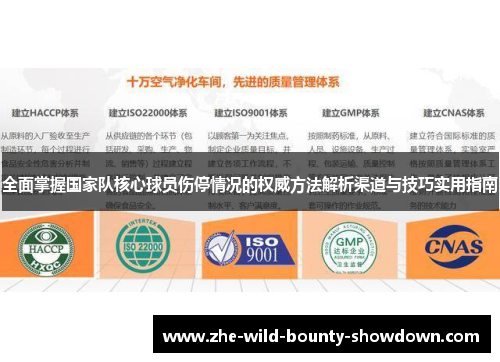 全面掌握国家队核心球员伤停情况的权威方法解析渠道与技巧实用指南