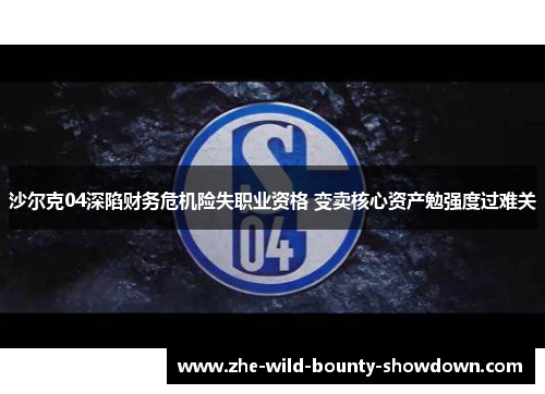 沙尔克04深陷财务危机险失职业资格 变卖核心资产勉强度过难关