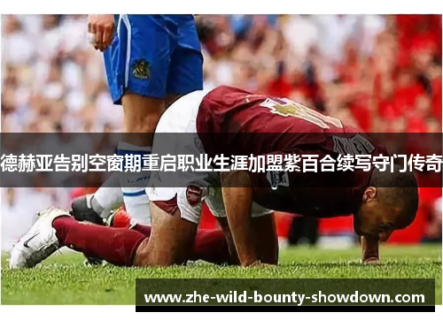 德赫亚告别空窗期重启职业生涯加盟紫百合续写守门传奇