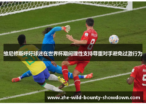 维尼修斯呼吁球迷在世界杯期间理性支持尊重对手避免过激行为