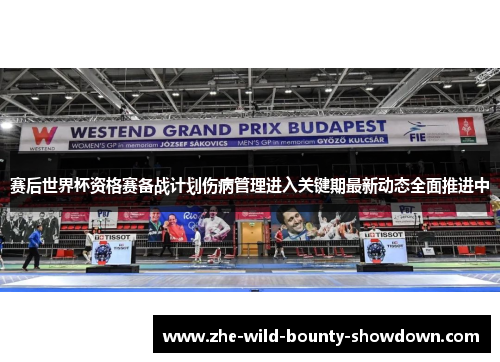 赛后世界杯资格赛备战计划伤病管理进入关键期最新动态全面推进中