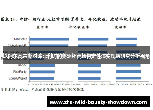 以阿尔瓦雷斯对阵比利时的美洲杯赛场稳定性演变观察研究分析视角